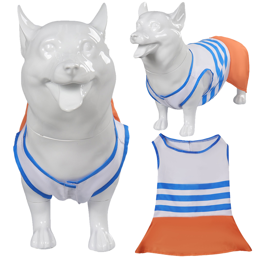 Live Action Anime Cosplay - Hund Haustiere Kleidung Nami Cosplay Fantasy