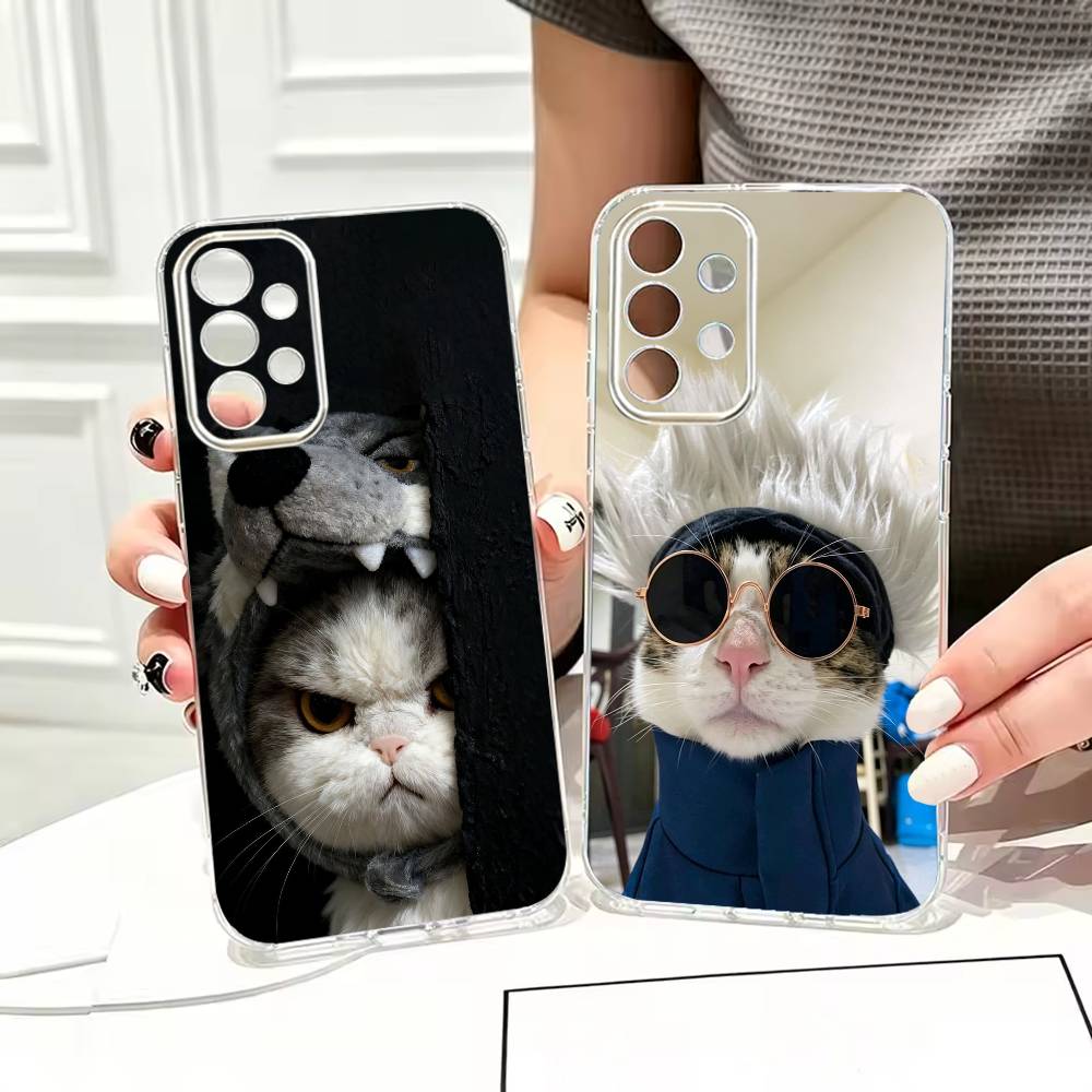 Niedliche, liebenswerte Katzen – Anime Cosplay Quotes Bewertung und Preis